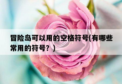 冒險島可以用的空格符號，有哪些常用的符號？-圖1