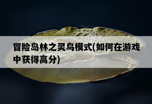 冒險島林之靈鳥模式，如何在游戲中獲得高分-圖1