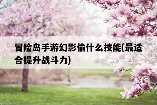 冒險島手游幻影偷什么技能，最適合提升戰斗力-圖1
