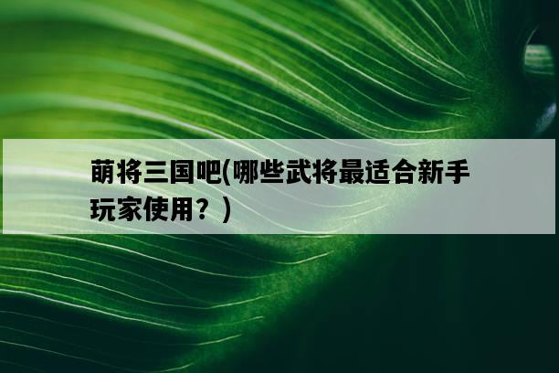 萌將三國吧，哪些武將最適合新手玩家使用？-圖1
