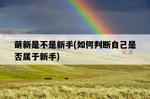 萌新是不是新手，如何判斷自己是否屬于新手-圖1