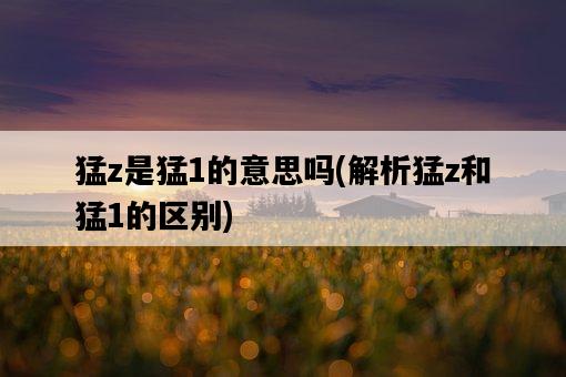 猛z是猛1的意思嗎，解析猛z和猛1的區別-圖1