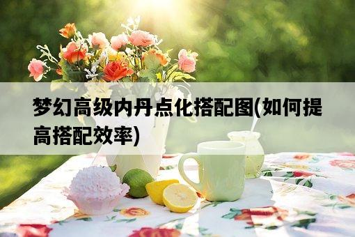 夢幻高級內丹點化搭配圖，如何提高搭配效率-圖1