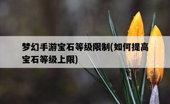 夢幻手游寶石等級限制，如何提高寶石等級上限-圖1