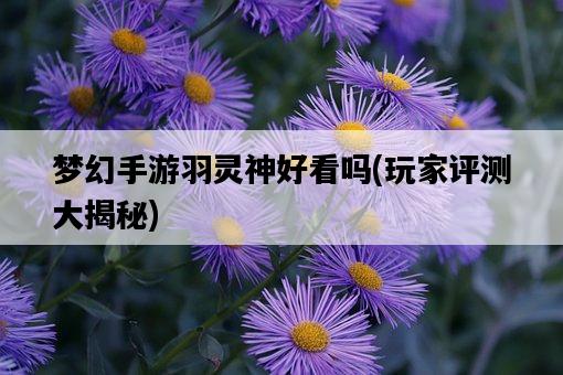 夢幻手游羽靈神好看嗎，玩家評測大揭秘-圖1