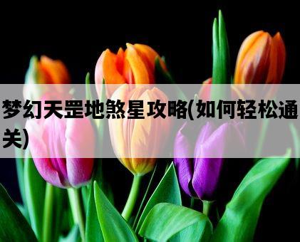 夢幻天罡地煞星攻略，如何輕松通關-圖1