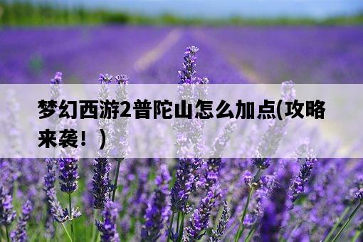夢幻西游2普陀山怎么加點，攻略來襲！-圖1