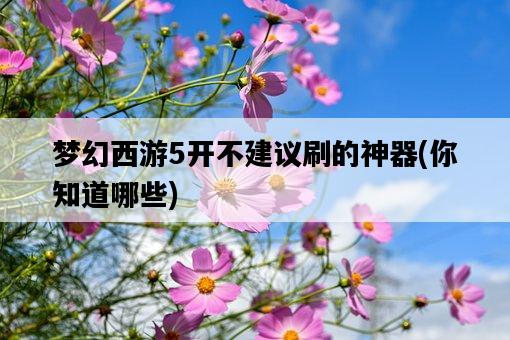 夢幻西游5開不建議刷的神器，你知道哪些-圖1