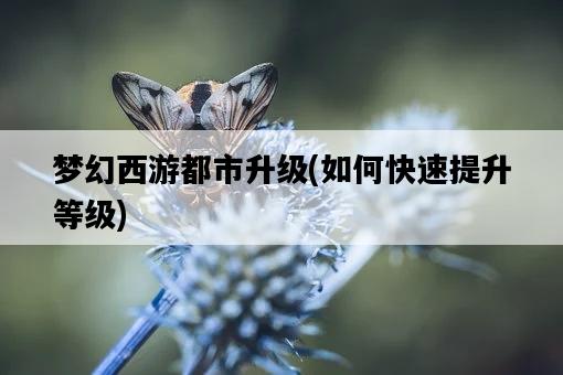 夢幻西游都市升級，如何快速提升等級-圖1