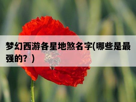 夢幻西游各星地煞名字，哪些是最強的？-圖1