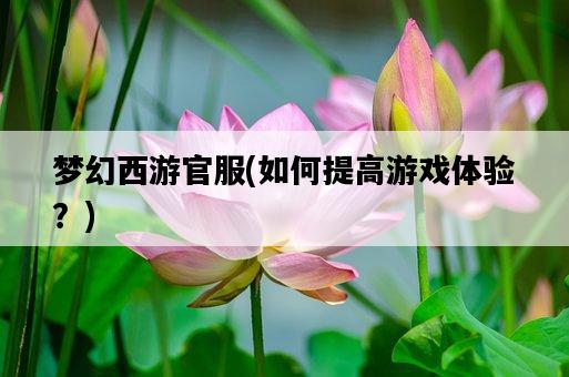 夢幻西游官服，如何提高游戲體驗？-圖1