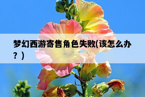 夢幻西游寄售角色失敗，該怎么辦？-圖1