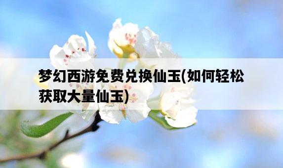 夢幻西游免費兌換仙玉，如何輕松獲取大量仙玉-圖1