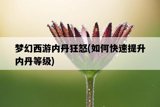 夢幻西游內丹狂怒，如何快速提升內丹等級-圖1