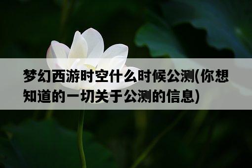 夢幻西游時空什么時候公測，你想知道的一切關于公測的信息-圖1