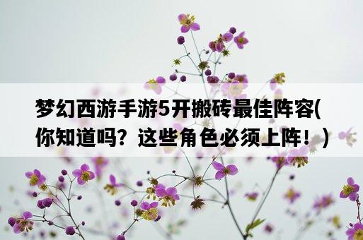 夢幻西游手游5開搬磚最佳陣容，你知道嗎？這些角色必須上陣！-圖1