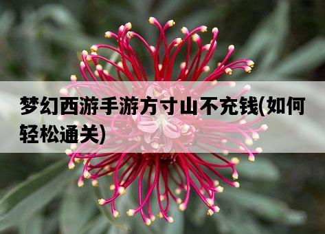 夢幻西游手游方寸山不充錢，如何輕松通關-圖1