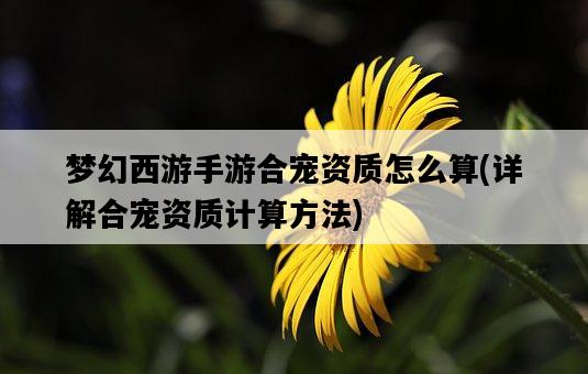 夢幻西游手游合寵資質怎么算，詳解合寵資質計算方法-圖1