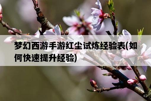 夢幻西游手游紅塵試煉經驗表，如何快速提升經驗-圖1