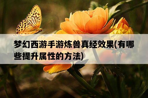 夢幻西游手游煉獸真經效果，有哪些提升屬性的方法-圖1