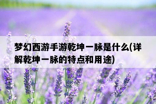 夢幻西游手游乾坤一脈是什么，詳解乾坤一脈的特點和用途-圖1
