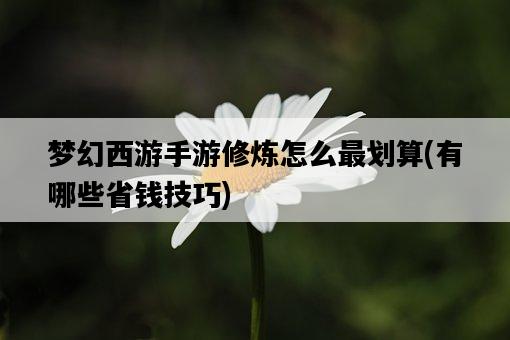 夢幻西游手游修煉怎么最劃算，有哪些省錢技巧-圖1