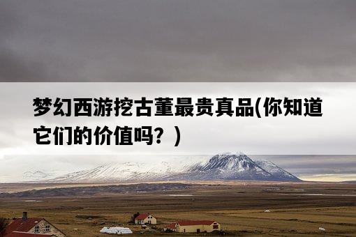 夢幻西游挖古董最貴真品，你知道它們的價值嗎？-圖1