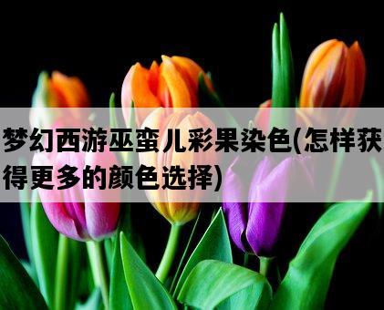 夢幻西游巫蠻兒彩果染色，怎樣獲得更多的顏色選擇-圖1