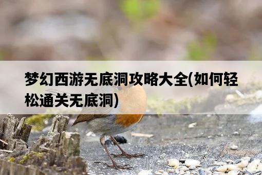 夢幻西游無底洞攻略大全，如何輕松通關無底洞-圖1