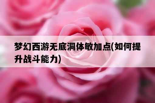 夢幻西游無底洞體敏加點，如何提升戰斗能力-圖1