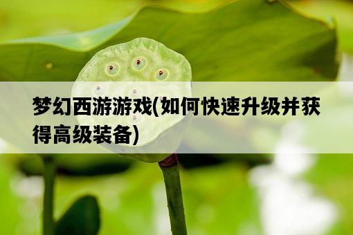 夢幻西游游戲，如何快速升級并獲得高級裝備-圖1