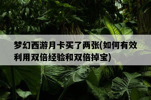 夢幻西游月卡買了兩張，如何有效利用雙倍經驗和雙倍掉寶-圖1