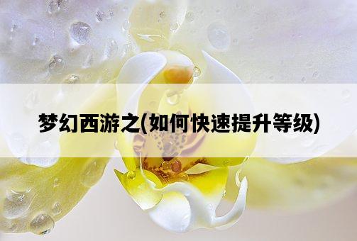 夢幻西游之，如何快速提升等級-圖1