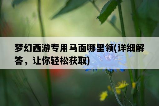 夢幻西游專用馬面哪里領，詳細解答，讓你輕松獲取-圖1