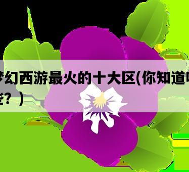 夢幻西游最火的十大區，你知道哪些？-圖1