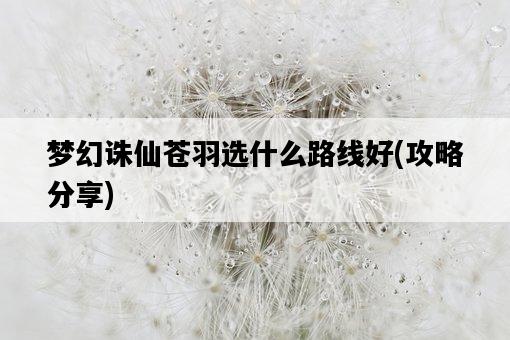 夢幻誅仙蒼羽選什么路線好，攻略分享-圖1