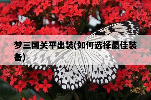 夢三國關平出裝，如何選擇最佳裝備-圖1