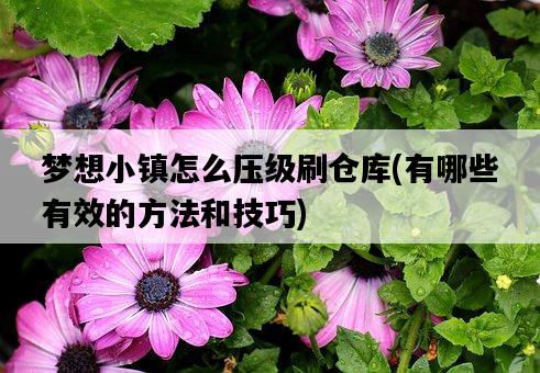 夢想小鎮怎么壓級刷倉庫，有哪些有效的方法和技巧-圖1