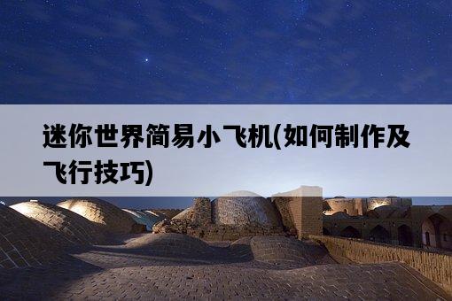 迷你世界簡易小飛機，如何制作及飛行技巧-圖1