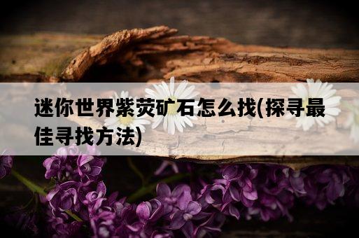 迷你世界紫熒礦石怎么找，探尋最佳尋找方法-圖1