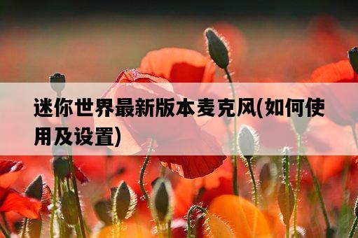 迷你世界最新版本麥克風，如何使用及設置-圖1