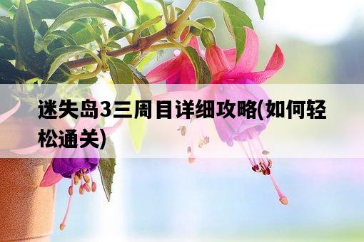 迷失島3三周目詳細攻略，如何輕松通關-圖1