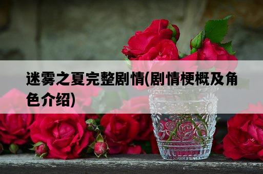 迷霧之夏完整劇情，劇情梗概及角色介紹-圖1