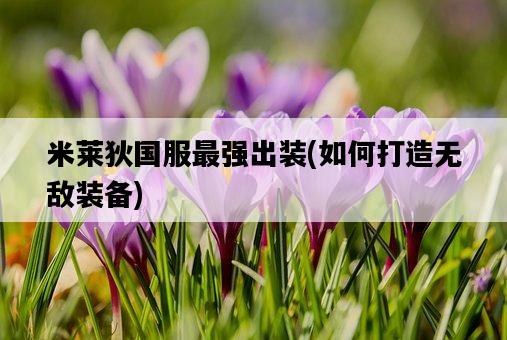 米萊狄國服最強出裝，如何打造無敵裝備-圖1
