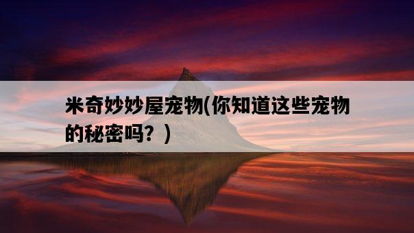 米奇妙妙屋寵物，你知道這些寵物的秘密嗎？-圖1