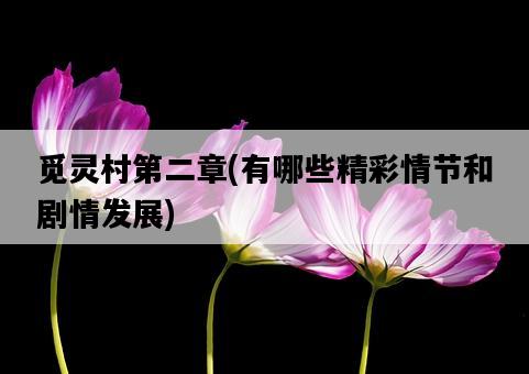 覓靈村第二章，有哪些精彩情節和劇情發展-圖1