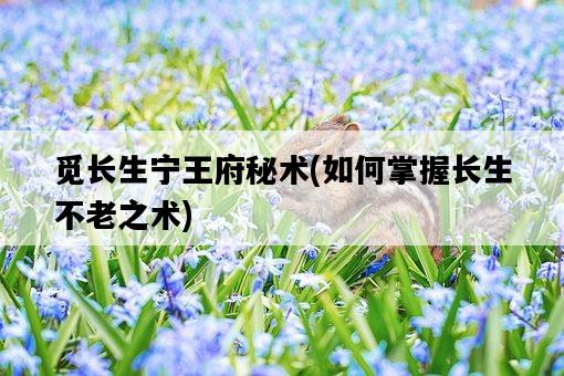 覓長生寧王府秘術，如何掌握長生不老之術-圖1