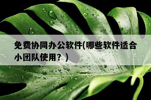免費協同辦公軟件，哪些軟件適合小團隊使用？-圖1