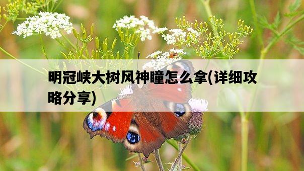 明冠峽大樹風神瞳怎么拿，詳細攻略分享-圖1