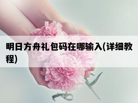 明日方舟禮包碼在哪輸入，詳細教程-圖1